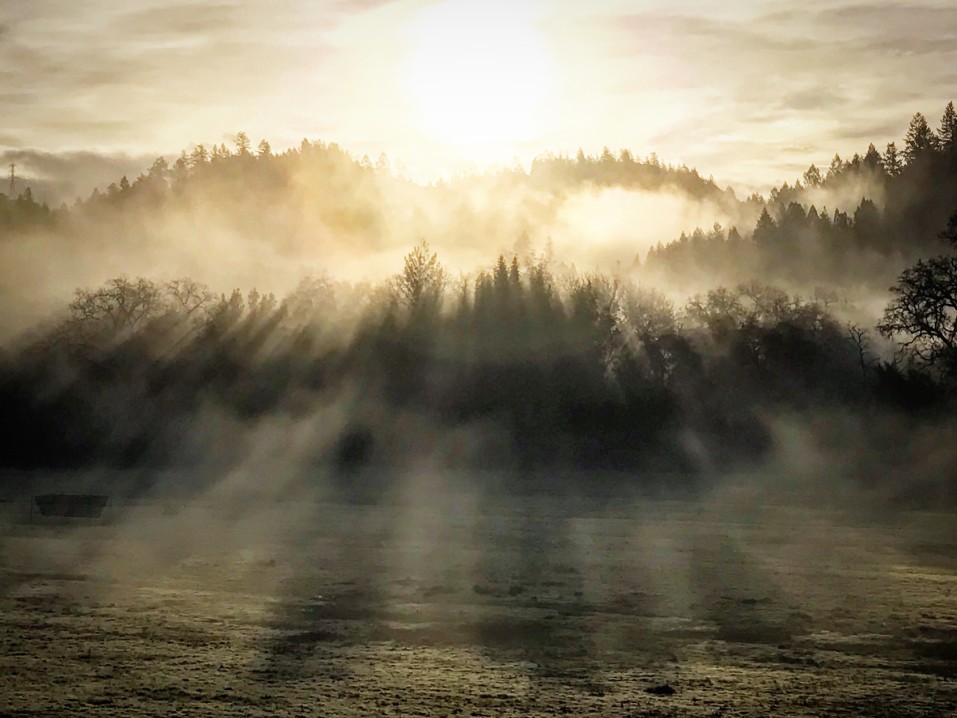 recevoir un accompagnement personnalisé