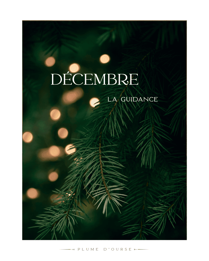 Sapin et lumière de Noël